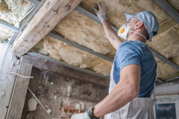 Insulation for New Construction in Milam, TX