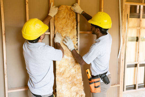 Best Soundproof Insulation Installation  in Milam, TX
