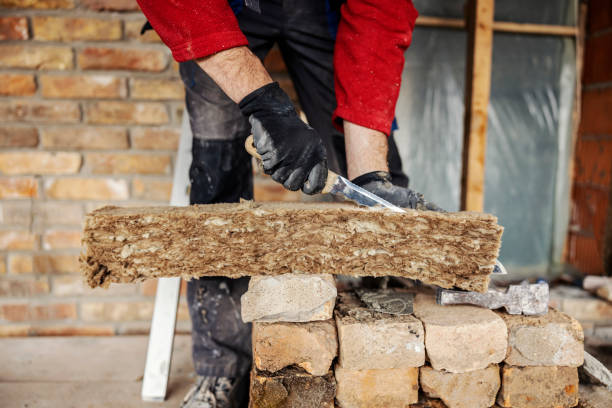 Best Insulation Removal  in Milam, TX