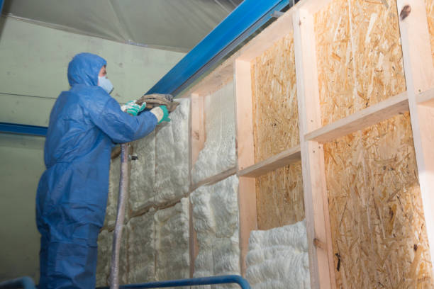 Best Insulation for New Construction  in Milam, TX