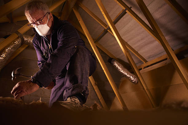 Best Attic Insulation Installation  in Milam, TX