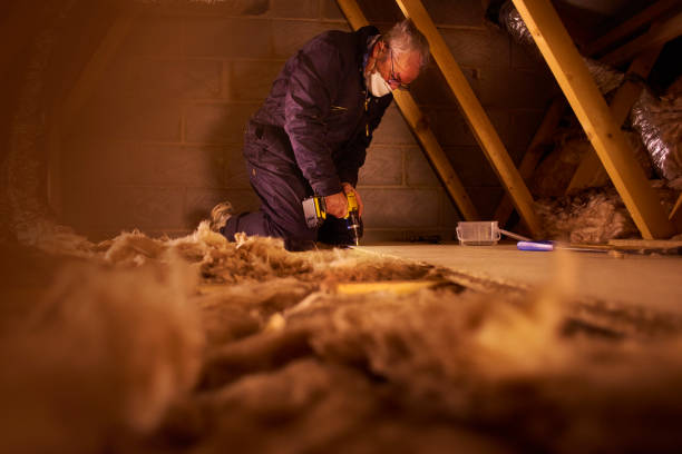 Best Insulation Removal Services  in Milam, TX